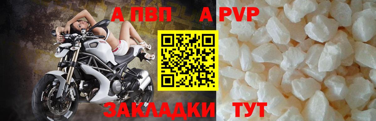 Альфа ПВП СК КРИС Тимашёвск