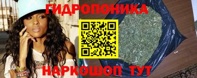 спайс Малгобек
