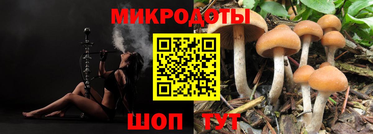 Галлюциногенные грибы мухоморы  что такое   Вход с VPN  Тимашёвск  Галлюциногенные грибы Cubensis 